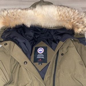 Canada goose